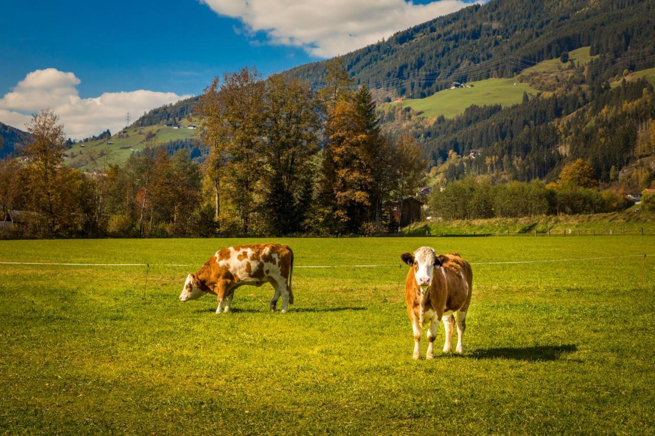 Bio-Bauernhof Obertrattenbachhof Neukirchen am Großvenediger Exterior foto